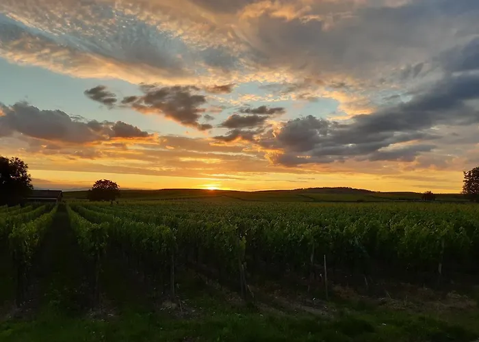 Winzerhof Henkenberg