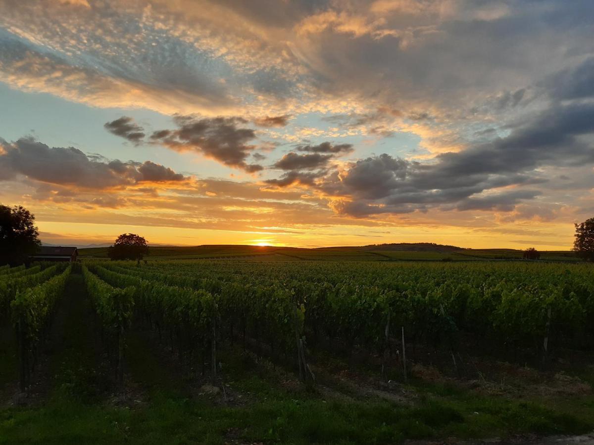 Winzerhof Henkenberg * Niederrotweil