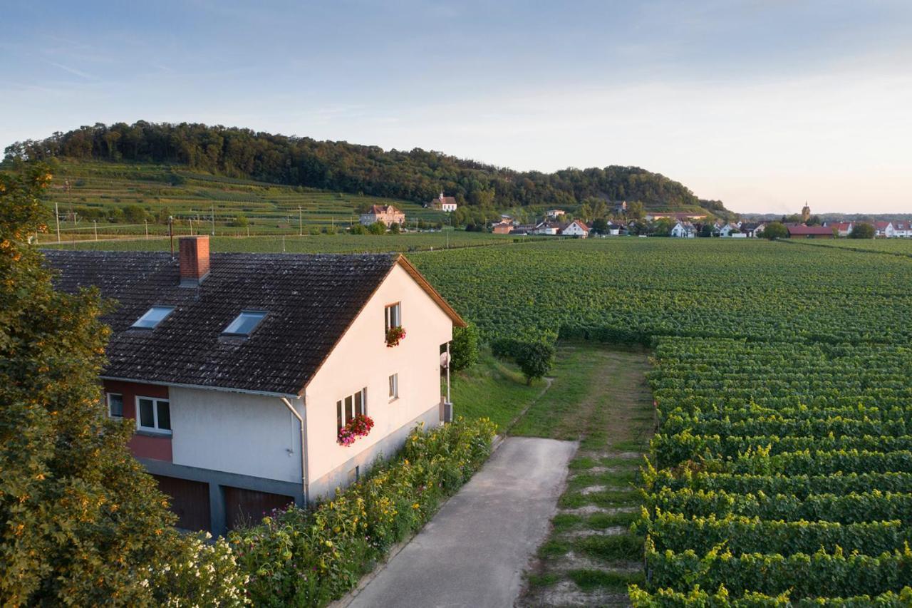 Winzerhof Henkenberg * Niederrotweil