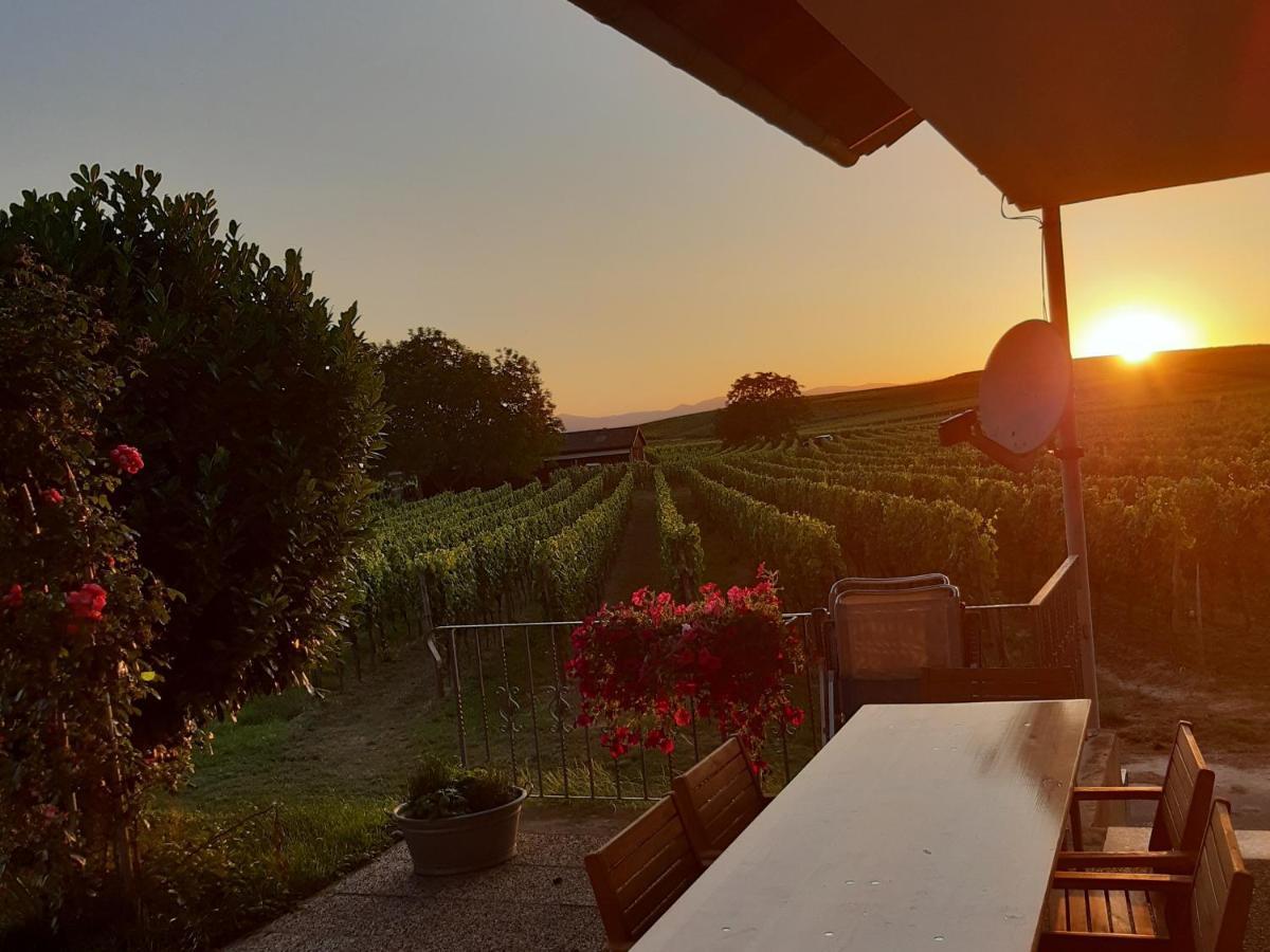 Apartament Winzerhof Henkenberg Niederrotweil